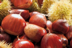 Castagna