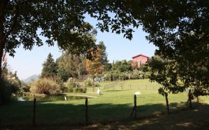 sanbartolomeo_giardino