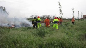 Protezione_civile,_opera_di_spegnimento2