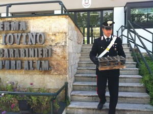 Carabiniere con parte degli uccelli sequestrati e poi liberati