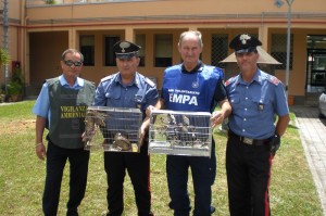 Carabinieri e volontari liberano uccelli catturati da due bracconieri ad Aversa