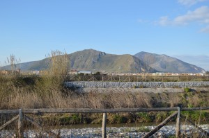 MONTE MASSICO