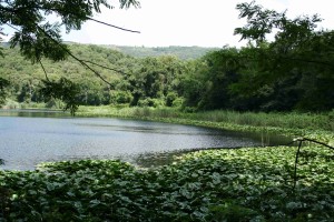 Riserva_naturale_degli_Astroni__Lago_grande_